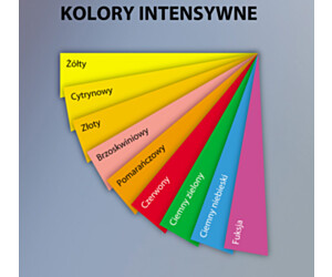 PAPIER KSERO EMERSON A4 160G CIEMNY ZIELONY 6052