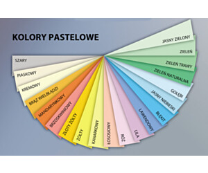 Papier xero A4 80g TROPHEE pastelowy jasnozielony XCA41974 CLAIREFONTAINE