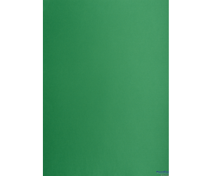 Karton kolorowy Creatinio B2 225g 25ark nr.63M c.zielony 400150339 TOP-2000