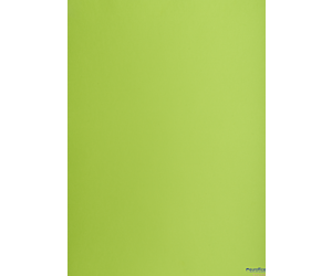 Karton kolorowy Creatinio B2 225g 25ark nr.66 j.zielony 400150337 TOP-2000