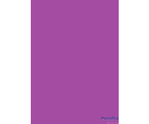 Karton kolorowy Creatinio B2 225g 25ark nr.86P purpurowy 400150341 TOP-2000