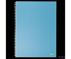Kołonotatnik ColourBreeze A4, w kratkę, niebieski Esselte 628476