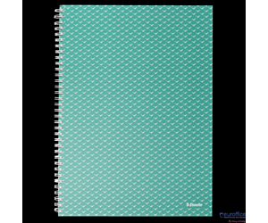 Kołonotatnik ColourBreeze A4, w kratkę, zielony Esselte 628477