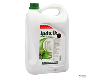 LUDWIK Płyn do naczyń 5L miętowy 30013