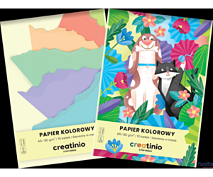 Papier kolorowy Top 2000 Creatinio A5 10 kartek 80 g 400176683