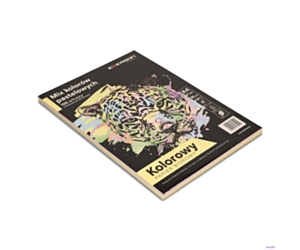 Papier xero A4 80g mix 100ark łos,bł,ziel,żół,mand.xem1000n EMERSON