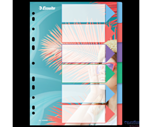 Przekładki ColourBreeze PP A4, 6 przekładek Esselte 628499