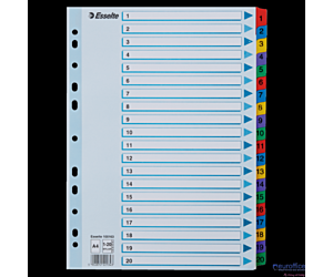 Przekładki kartonowe MYLAR A4 1-20 100163 białe ESSELTE