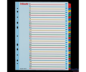 Przekładki kartonowe MYLAR A4 MAXI 1-31 ESSELTE 100210