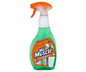  MR.MUSCLE płyn do szyb 500ml z rozpylaczem zielony *139266