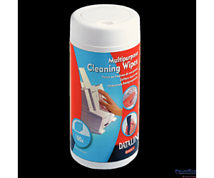 Chusteczki wilgotne do plastiku ESSELTE DATALINE (100szt) 67656
