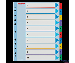 Przekładki kartonowe MYLAR A4 MAXI 1-10 ESSELTE 100208
